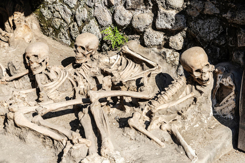 Sorrento: Herculaneum Guided Tour with entry ticket