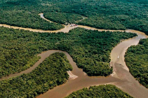 Von Iquitos aus: 6 Tage Amazonas Dschungel Tour