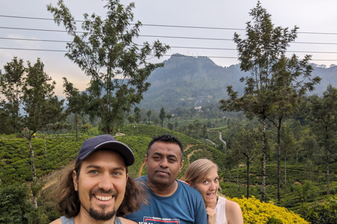 Kandy Full-Day Cultural & Scenic Tour with Local Guide