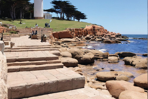 Punta del Este : visite des points forts, dégustation et transfert inclus