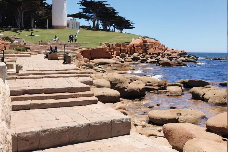 Punta del Este : visite des points forts, dégustation et transfert inclus