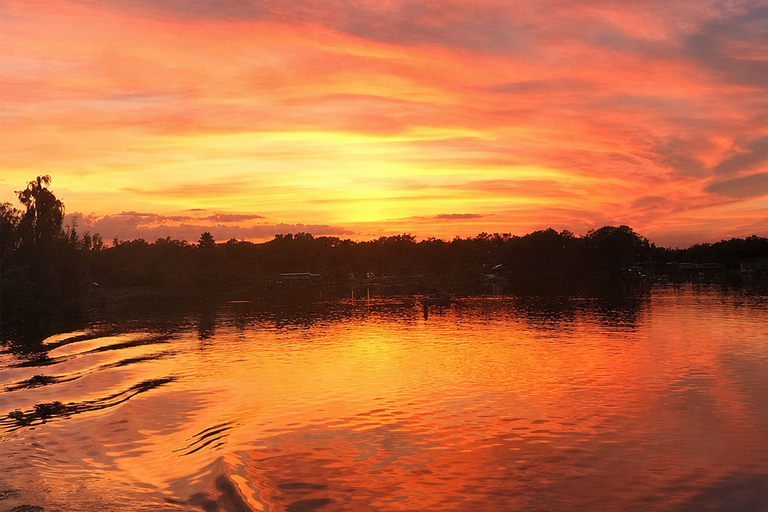 Winter Haven: Guided Sunset Boat Tour with Dinner Stop