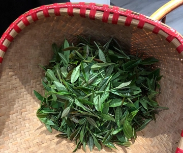 Visite privée d'une journée à Hangzhou pour découvrir la culture du thé