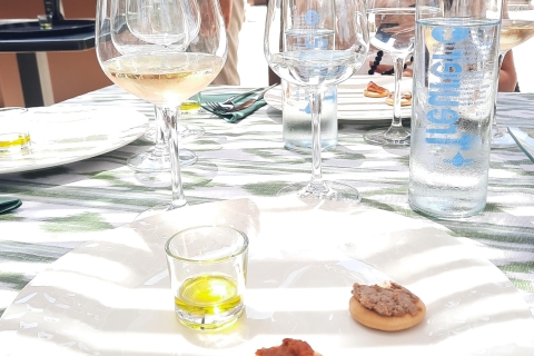 Mallorca: Oleo-Experiencia Minibús-Tour Almazara y Degustación