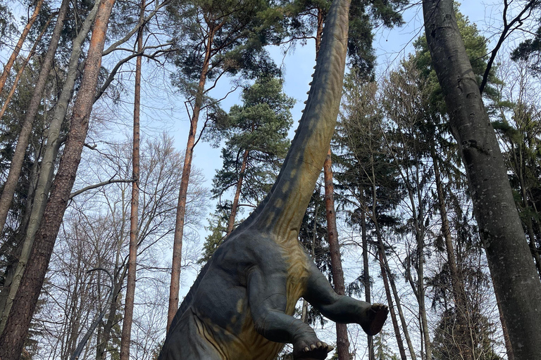 Sibiu: Excursión de un día al Castillo de Drácula y al Dino Parque