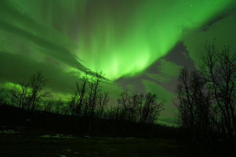 Tromsø: English/Spanish Aurora Pathfinder Tour with Photos Tromsø: English/Spanish Aurora Hunting Private Minibus Tour
