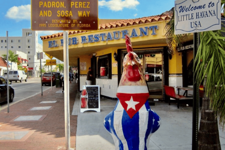 Experiencia privada del tour de la ciudad de Miami