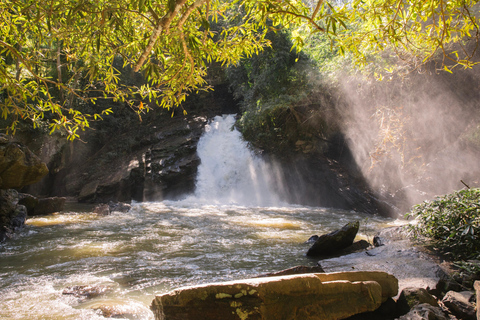 Chiang Mai: Elephant Sanctuary, Waterfall & Bamboo Rafting