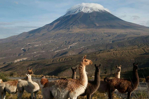 Da Arequipa: escursione di 2 giorni al Vulcano Misti