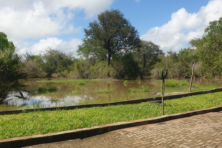 3 DAYS NYERERE NATIONAL PARK FROM ZANZIBAR BY FLIGHT.