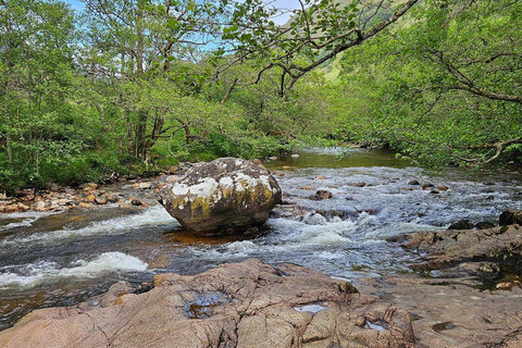 Fort William: Steall Falls and Nevis Gorge Guided Hike
