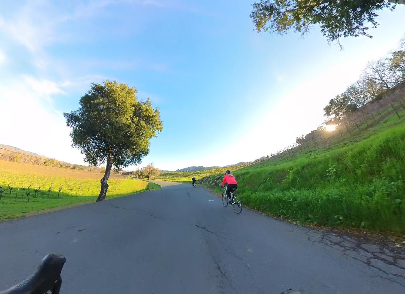 Napa/Sonoma: Guidet tur for cykelentusiaster
