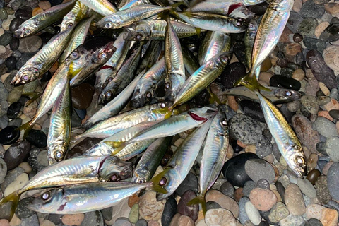Western Georgia River Fishing & Georgian Food Experience