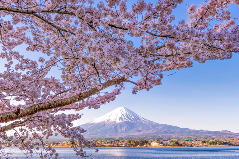 Mount Fuji, Oshino Hakkai & Outlet Onsen Day Tour From Tokyo Departure From Tokyo Station