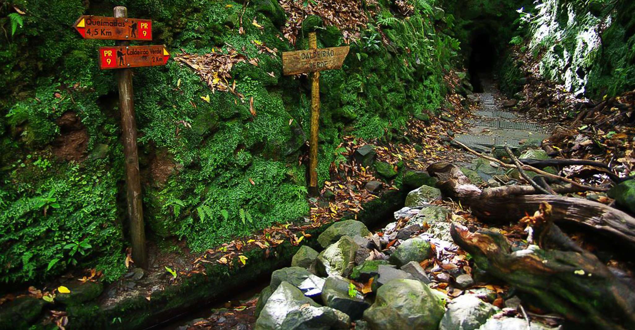 Levada Walk und Caldeirao Verde Wasserfälle, Madeira - Hizvo