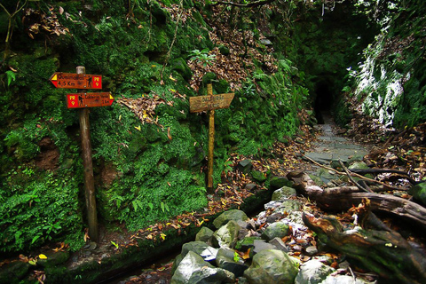 Levadavandring och vattenfallen Caldeirao Verde: MadeiraMadeira: Levada-vandring &amp; vattenfallet Caldeirao Verde