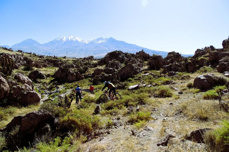 Arequipa: 3-timmars mountainbike-tur