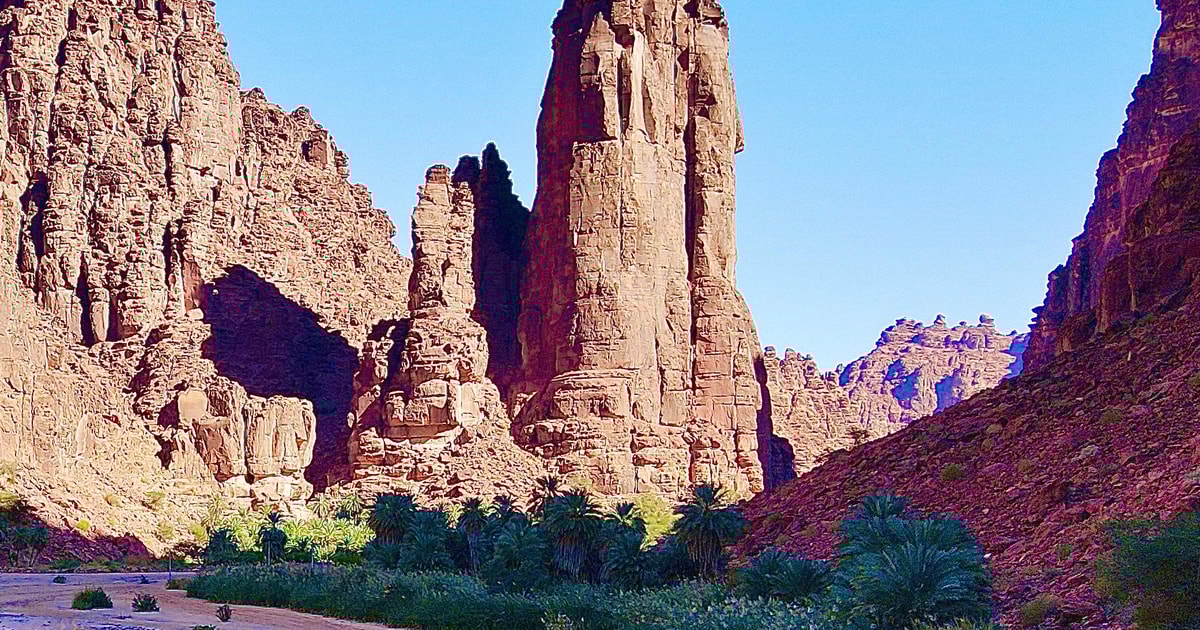 Ganztagesausflug von Duba nach Dissah GetYourGuide