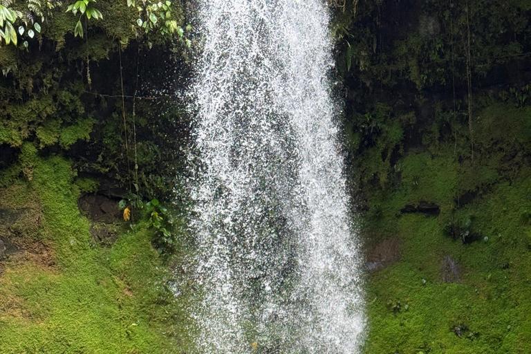 Cali: Day trip to San Cipriano. Adventure in rivers, little witches, and waterfalls