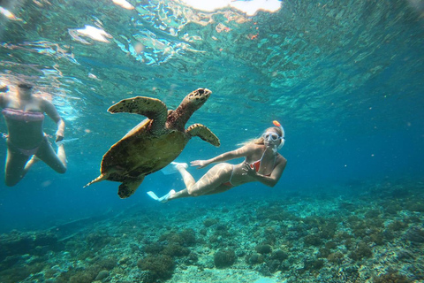 Gili Trawangan: Private Snorkeling 4 Spots Turtle with Gopro 2-hour Private Snorkeling Turtle Point with Gopro