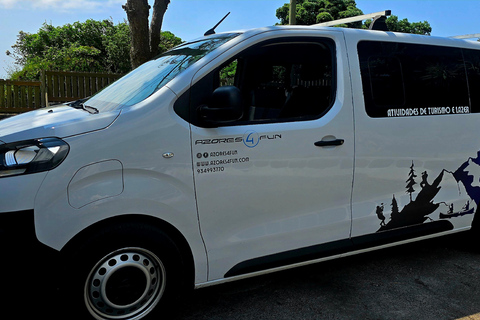 Faial Island Guided Eco Van Tour Half Day Shared Eco Tour