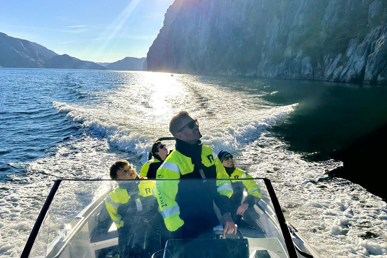 Excursão de minibus ao Lysefjord e safari de lancha opcionalPasseio de minibus pelo Lysefjord
