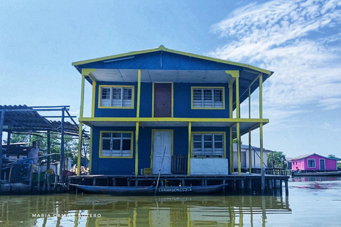 Conheça a vila dos palafitos na Ciénaga Grande de Santa MartaConhece a aldeia de Palafitos na Ciénaga Grande de Santa Marta.