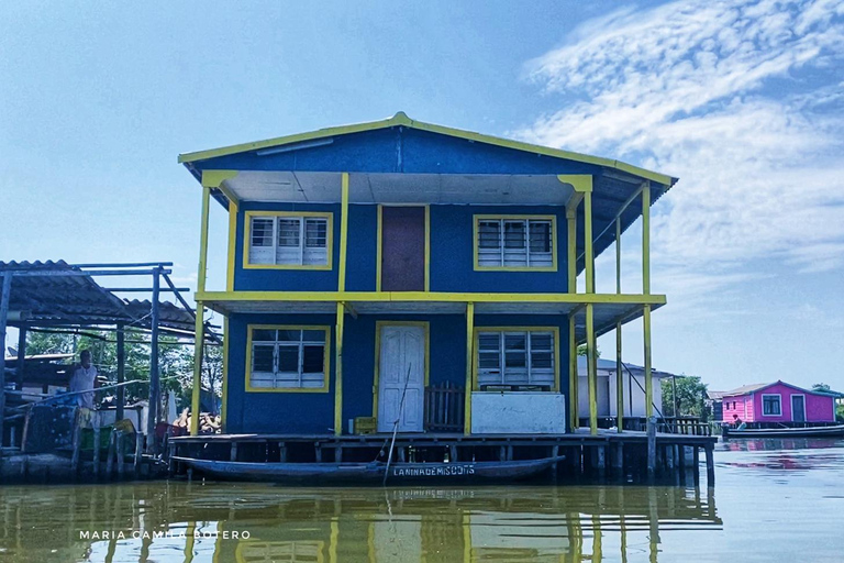 Conheça a vila dos palafitos na Ciénaga Grande de Santa MartaConhece a aldeia de Palafitos na Ciénaga Grande de Santa Marta.