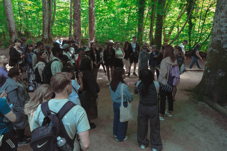 Zadar : Visite guidée des lacs de Plitvice avec billets