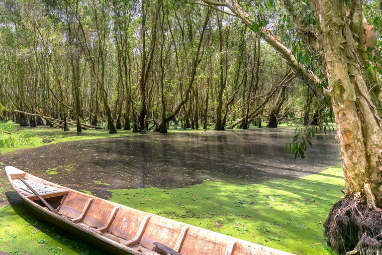 Depuis Ho Chi Minh : Visite guidée Premium de l&#039;île aux singes de Can Gio