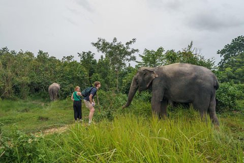 Excursión a la Selva de Elefantes de Kulen con recogida y regreso al hotel