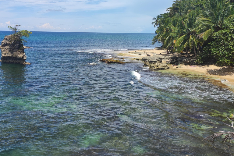 Puerto Viejo Talamanca: Wandere durch das Gandoca Manzanillo Wild Life Refuge.
