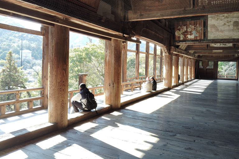 Hiroshima: 5.5-Hour Highlights Tour with Professional guide