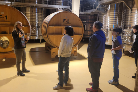 Tour semi-privato di La Rioja con 3 cantine di qualità da Bilbao