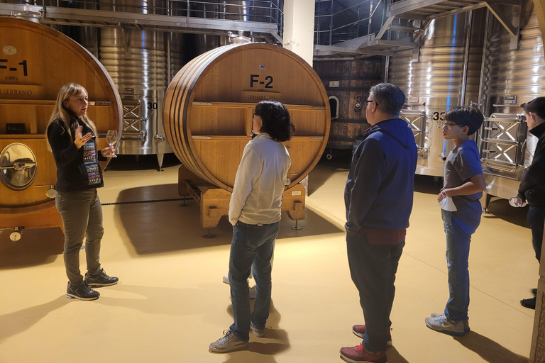 Semi-Private La Rioja Tour of 3 Premium Wineries from Bilbao