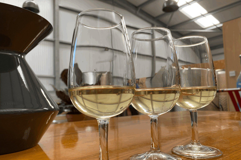 Cape Town: Stellenbosch Wine Region Private Tour