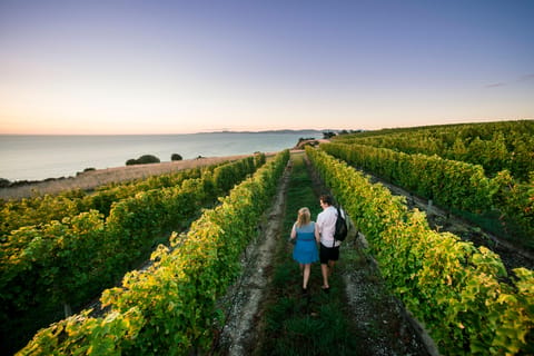Marlborough Wine Tour: Including Cloudy Bay and Lunch - Image 2