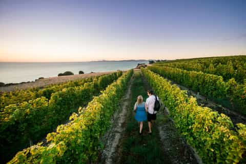 Marlborough Wine Tour: Including Cloudy Bay and Lunch - Image 3