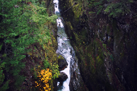 From Seattle: North Cascades National Park Day Tour
