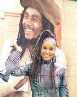 Bob Marley Museum y Devon House Kingston Day Tour - Housity