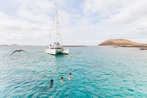Fuerteventura : croisière de 4 h autour de l'île de LobosCroisière de 4 h en voilier à Lobos - adultes uniquement