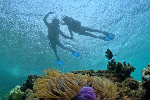 Phu Quoc: 4 Island & 2 Reefs Snorkeling Tour by Speedboat Phu Quoc: Speed Boat Tour 4 Islands - 2 Reefs Snorkeling