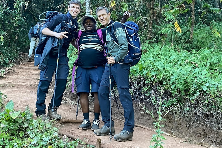 Kilimandscharo: 7 Tage Machame Trek mit Tansania Anderswo