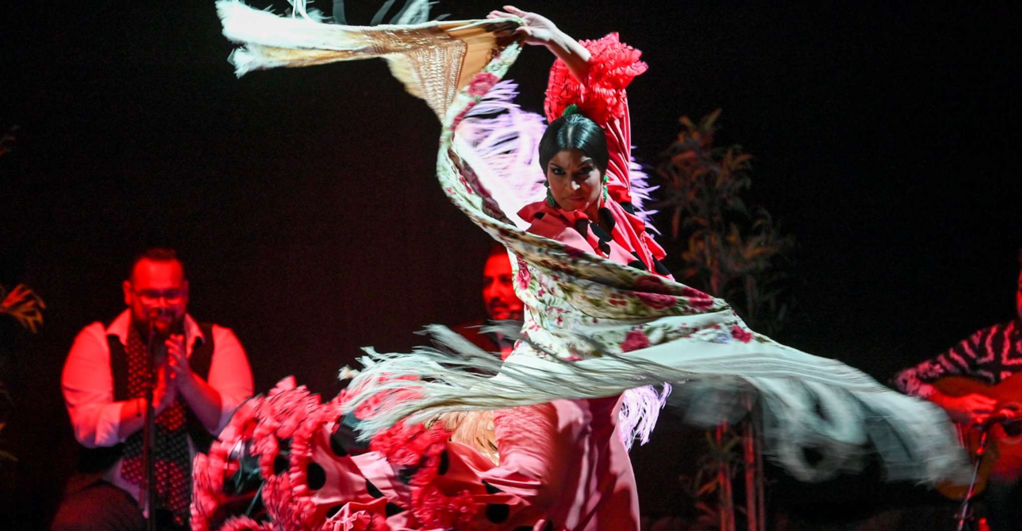 Barcelona: Flamenco Show at the Theater photo 11