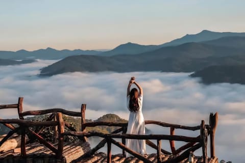 Da Lat: Cloud Hunting and Nature Morning Tour - Image 2
