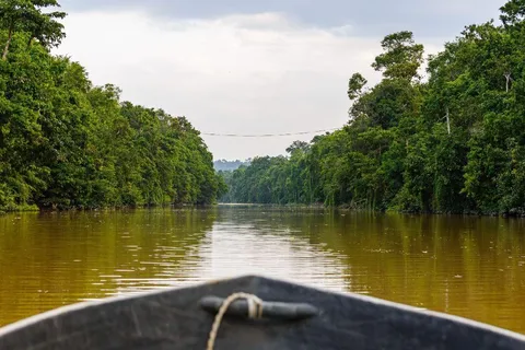 Sandakan : 3-tägiges Wildtier-Abenteuer am Kinabatangan-Fluss