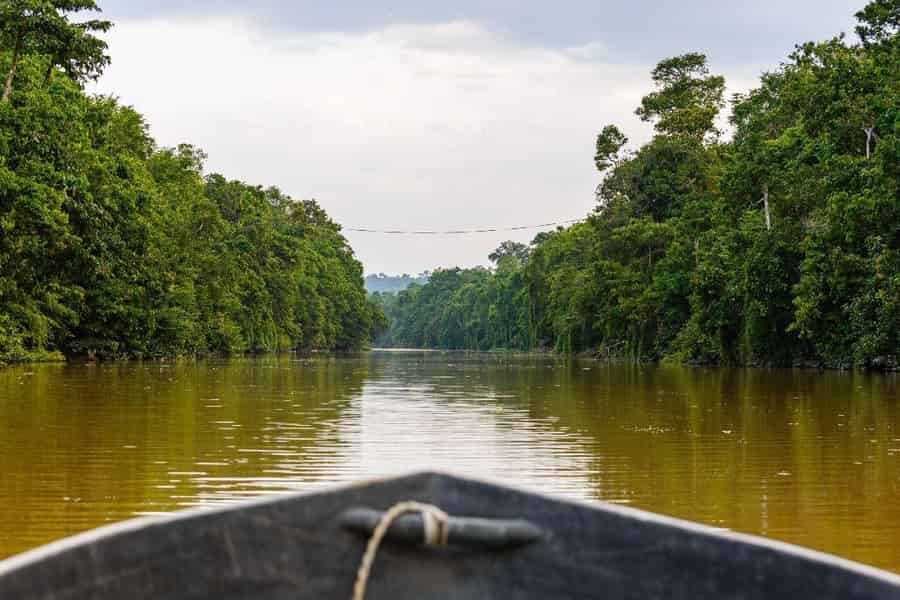 Sandakan: 3-tägiges Wildtierabenteuer auf dem Kinabatangan-Fluss. Foto: GetYourGuide Sandakan: 3-tägiges Wildtierabenteuer auf dem Kinabatangan-Fluss. Foto: GetYourGuide