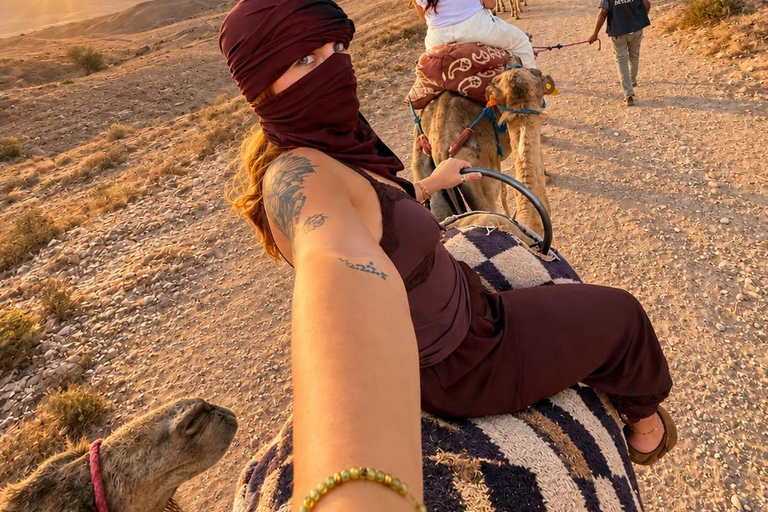Marrakech: Agafay Desert Quad & Camel Rides with Dinner Show