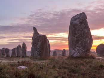 From Rennes: Brocéliande and Carnac Day Trip