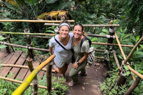 Chiang Mai: Doi Inthanon Pha Dok Siew Trek & Karen Culture